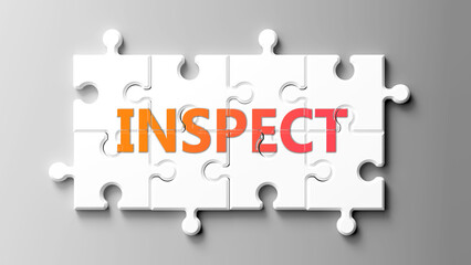 Inspect complex like a puzzle - pictured as word inspect on a puzzle pieces to show that inspect is complex and needs cooperating pieces that fit together. ,3d illustration