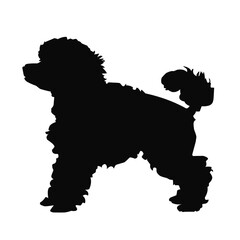 Poodle dog silhouette vector