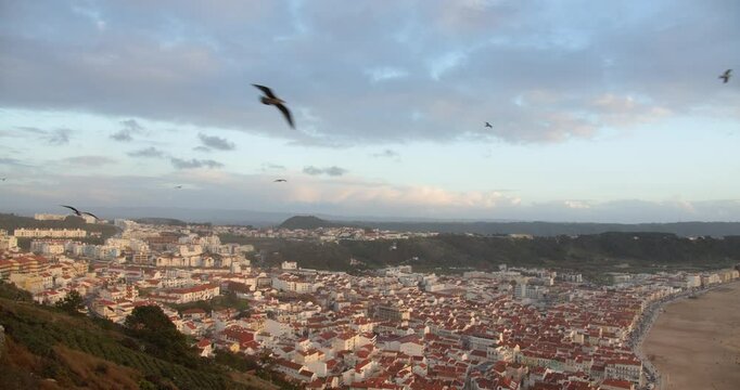 Beautiful view from a hill to the old toristic town on the coast with flying seagulls. View from a hill over the old tourist town of Nazare on the Atlantic Ocean coast in Portugal during sunset.