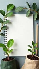 Blank notebook, eucalyptus, seedlings, pots, bags, gray background, growth, DIY