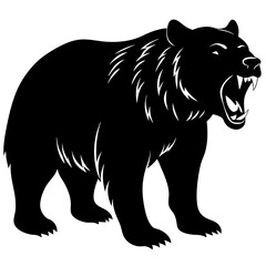 vector illustration of a bear