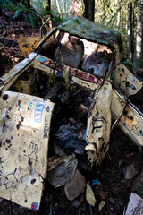 An abandoned, rusting car slowly becoming one with the forest, illustrating the passage of time and nature's reclamation of human-made objects in a serene woodland.