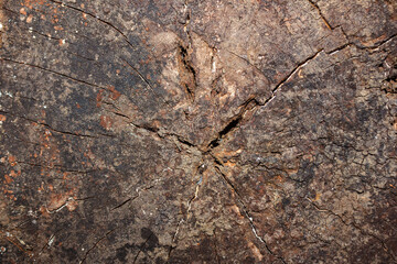 Old Weathered Wood with Cracks and Rough Texture
