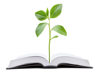 Isolated Book with Growing Plant, White Pages