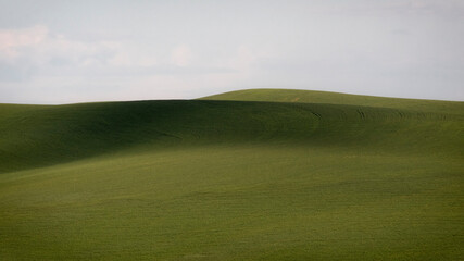 A serene image showcasing rolling green hills under soft natural light, creating a peaceful and inviting atmosphere perfect for nature-themed projects and concepts.