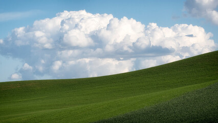 Vibrant green hills stretch beneath a sky filled with fluffy clouds, portraying an idyllic pastoral...