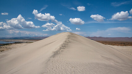 A striking sand dune stands tall under a clear blue sky, showcasing the stark beauty of desert landscapes and highlighting nature's diverse forms.
