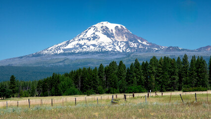 The striking image of Mount Hood showcases its majestic snow-capped peak rising dramatically above the lush green forests below, creating a breathtaking natural landscape.