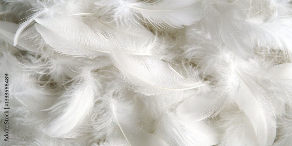 Poster feathers of serenity: a delicate assortment of fluffy, pristine white feathers, artfully arranged in