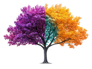 Obraz premium Isolated Quartered Tree with Different Foliage Colors