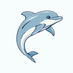 dolphin vector illustration on white background