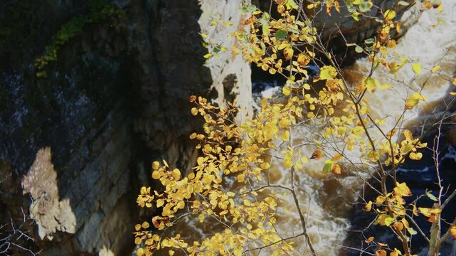 A captivating 4K shot of the Ausable Chasm Canyon with the river flowing through the rugged gorge, showcasing the raw natural beauty of Keeseville, NY.