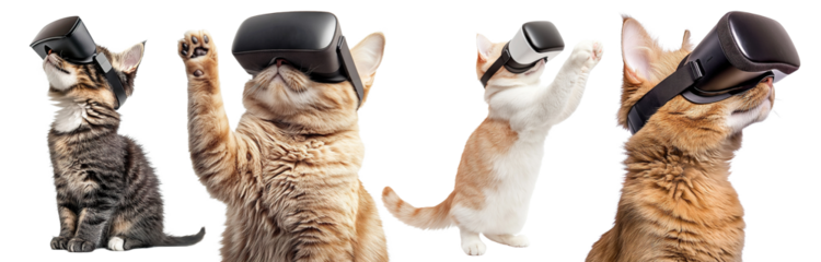 Set of curious tabby cats with virtual reality headsets, isolated on transparent cutout background