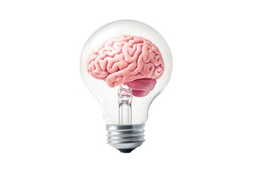 Isolated Brain Inside Light Bulb - Idea Generation