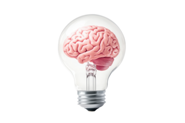 Isolated Brain Inside Light Bulb - Idea Generation