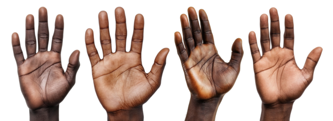 Set of open palms of African American hands, isolated on transparent cutout background