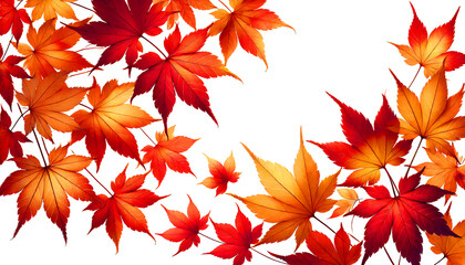 A collection of vibrant autumn maple leaves in shades of red and orange, isolated on white background. Clipping path. A perfect seasonal design created using generative AI.