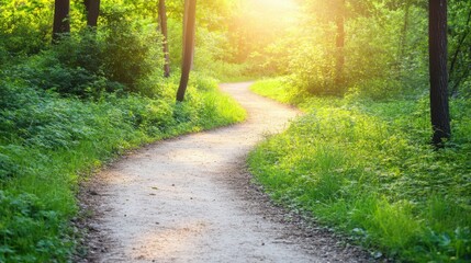 Naklejka premium Serene Forest Pathway in Bright Green Nature during Golden Hour