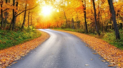 Obraz premium Serene Autumn Road Surrounded by Vibrant Fall Foliage and Sunshine