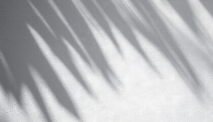 Obraz premium Soft Light and Shadows on Concrete Wall – Abstract Background