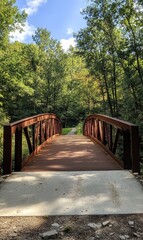 Obraz premium Rustic bridge path through forest