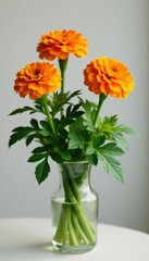Bright orange marigold flowers growing in a vase with lush green leaves, colorful flowers, plant life