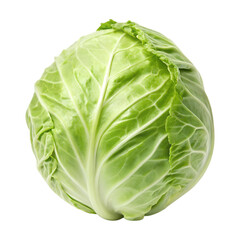 Fototapeta premium Fresh green cabbage with crisp leaves and smooth texture