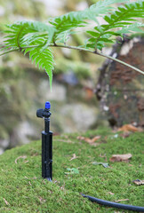 Spike type nebulizer irrigation system at work