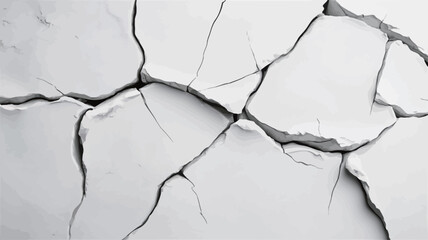 Close-up, monochrome photograph of a cracked white surface. The image displays a detailed texture of irregular cracks forming polygonal shapes across the entire frame.  The cracks vary in width and