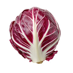 Obraz premium Fresh vegetable harvesting event captivating red cabbage discovery in nature's abundance