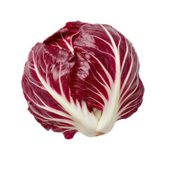 Fresh vegetable harvesting red radicchio in vibrant garden setting close-up perspective for culinary inspiration