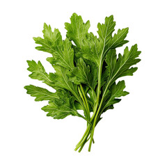 Harvesting fresh vegetables culinary delights in a vibrant garden setting