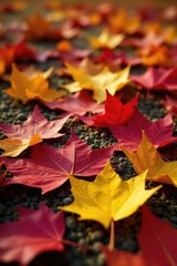 Red yellow orange leaves strewn across the ground, nature, fallen leaves