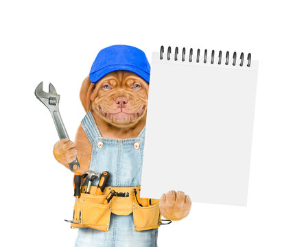 Smling Mastiff puppy wearing blue cap and denim overalls with tool belt shows empty list and wrench. Isolated on white background