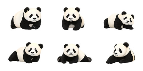 Pack Panda Set on Transparent Background for Wildlife, Nature, and Cute Animal Illustrations