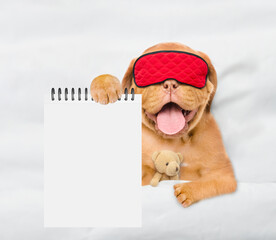 Mastiff puppy wearing sleeping mask sleeps with toy bear under white blanket on a bed at home and...