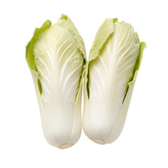 Harvesting fresh vegetable greens in lush outdoor garden close-up view of crisp lettuce leaves