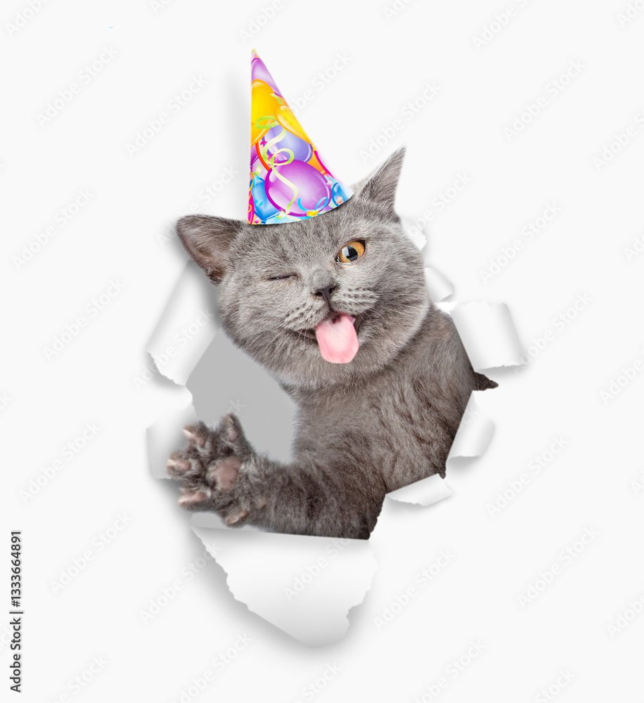 Aufkleber Winking happy cat with tongue out wearing party cap looking through a hole in white paper