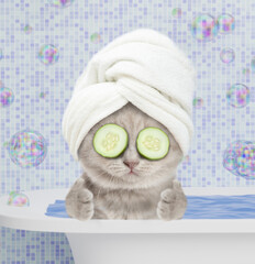 Cute kitten with towel on it head and slices of cucumber on it eyes takes the bath at home and shows thumbs up gesture. Empty space for text