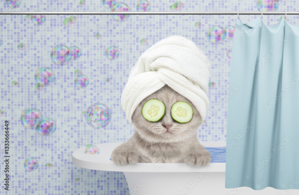Fototapete Cute kitten with towel on it head and slices of cucumber on it eyes takes the bath at home. Empty space for text