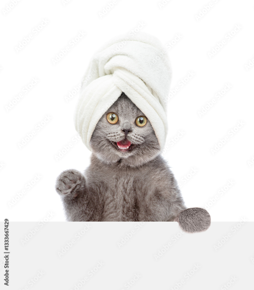 Poster surprised cat with towel on it head looks above blank white banner. isolated on white background