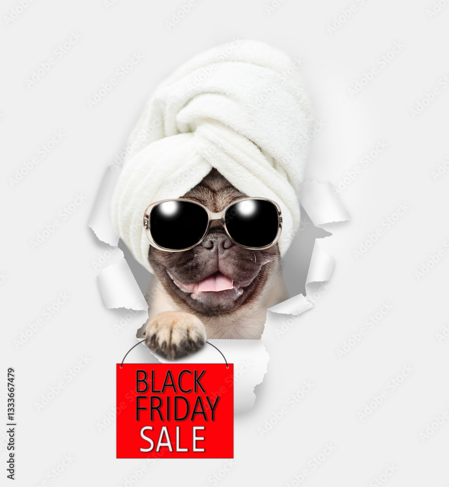 Aufkleber Smiling pug puppy with towel on it head looking through a hole in white paper and showing signboard with labeled 