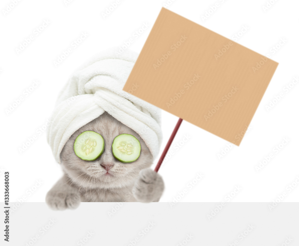 Aufkleber cute kitten with towel on it head and with slices of cucumber on it eyes looks above blank white ban