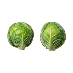 Fototapeta premium Fresh vegetable harvest brussels sprouts farm organic produce sunny environment close-up view