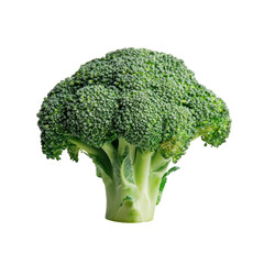 Fresh broccoli harvest vegetable showcase organic farm food photography bright setting close-up healthy eating