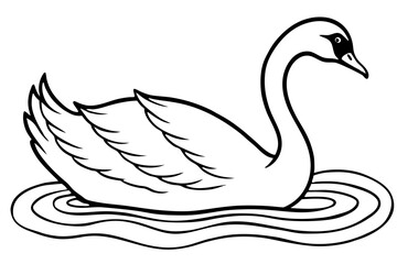 black swan vector illustration on white background.