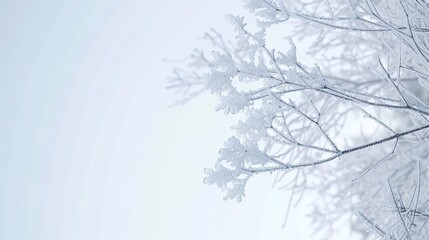 Fototapeta premium Photographers can use it as a unique backdrop to highlight their subjects, adding an ethereal touch. The simple and elegant ice patterns and textures evoke a feeling of purity and calm. Let this ice b