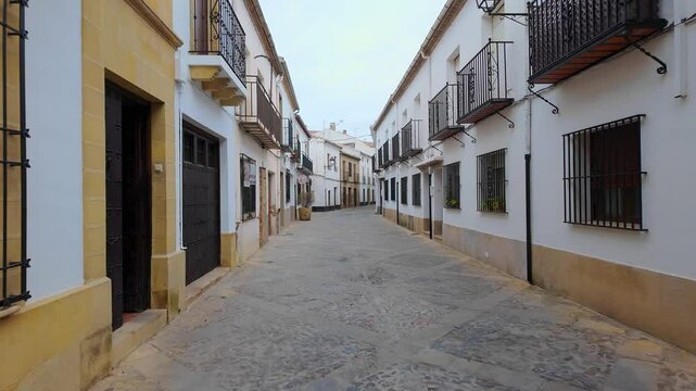 Colorful streets with potted plants in the Unesco city of Baeza, Andalusia.