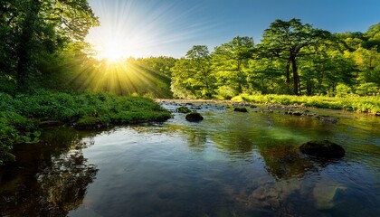 Obraz premium sunlight reflecting on tranquil water creating a serene atmosphere in a lush green environment