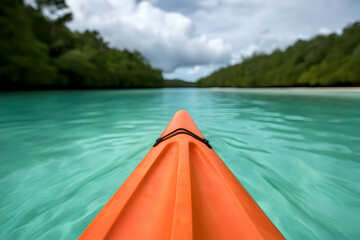 Kayaking Adventure Through Lush Green Mangrove Tunnel